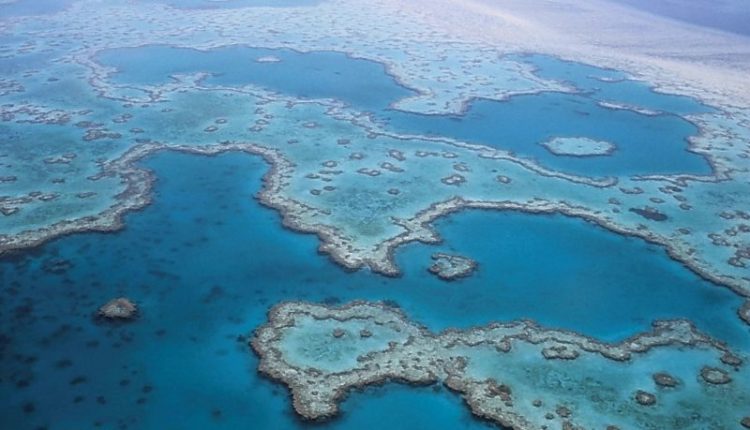 great-barrier-reef