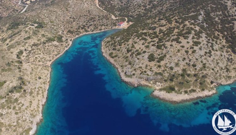 Marine Life Sanctuary