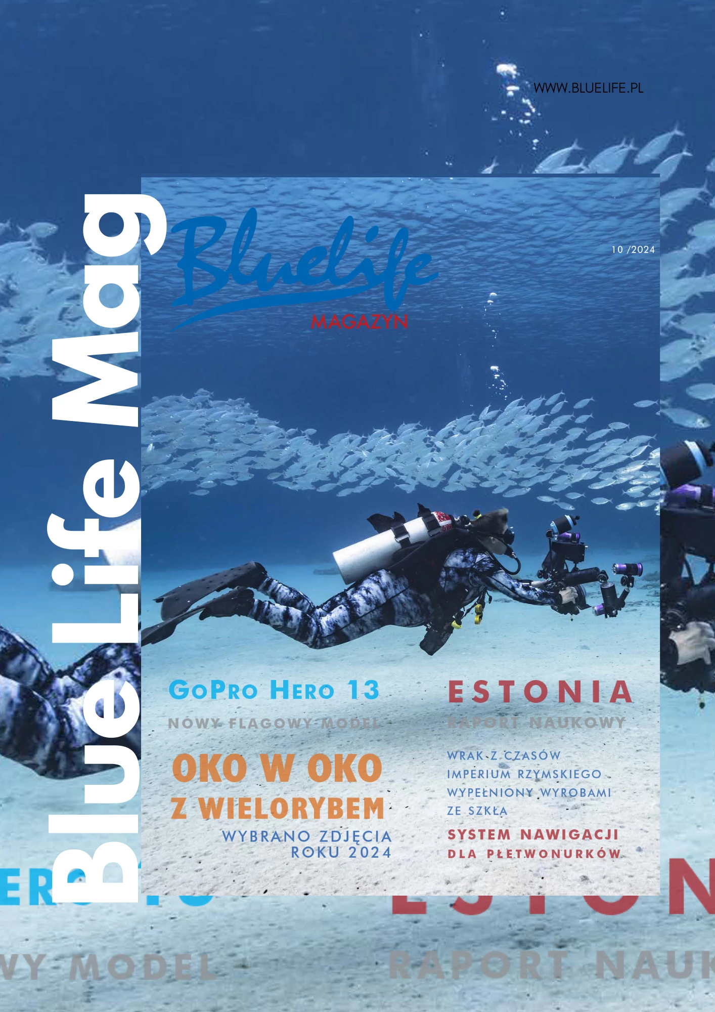 300 x 250  gazeta 2024 09 BlueLife Mag